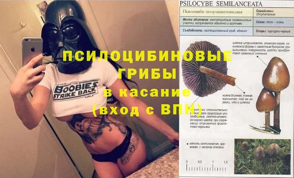дживик Заволжск