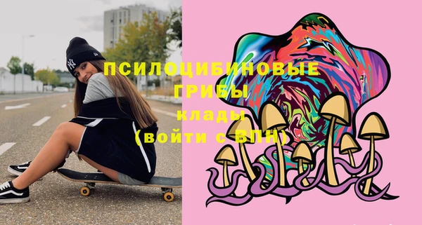 дживик Заволжск