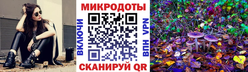 Псилоцибиновые грибы ЛСД  цена наркотик  МЕГА рабочий сайт  Светогорск 